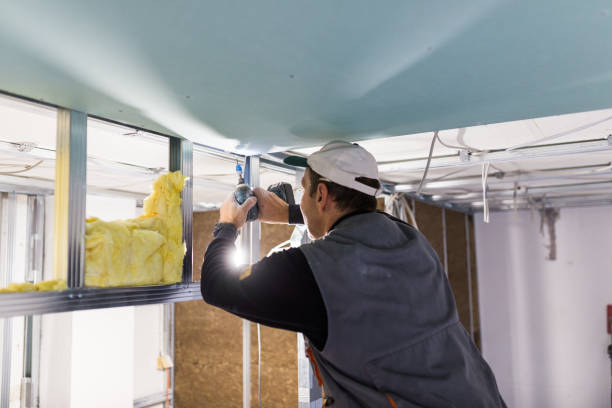 Trusted Saylorville, IA Insulation Experts