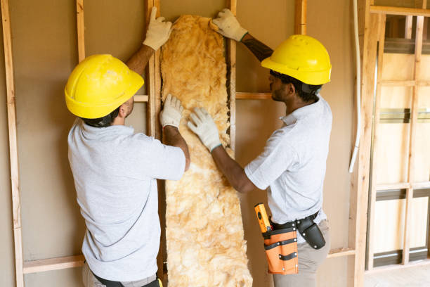 Types of Insulation We Offer in Saylorville, IA